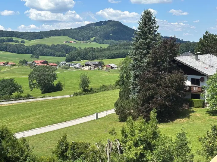 Westblick