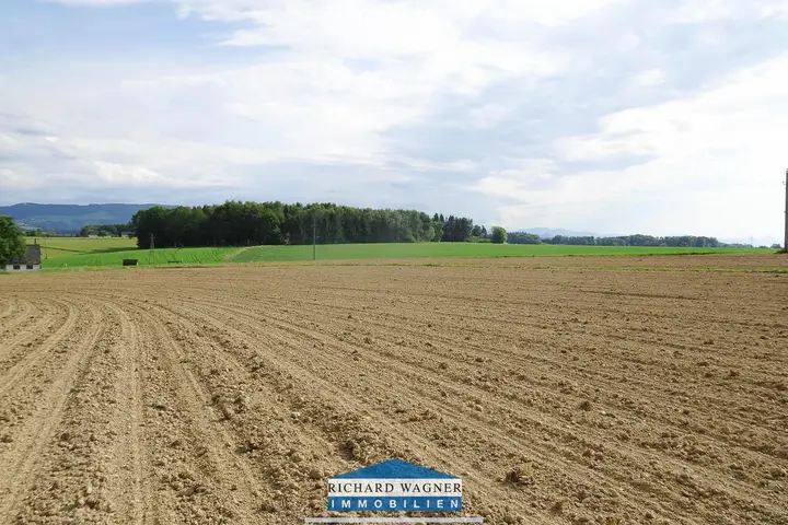 Elakfoto-020