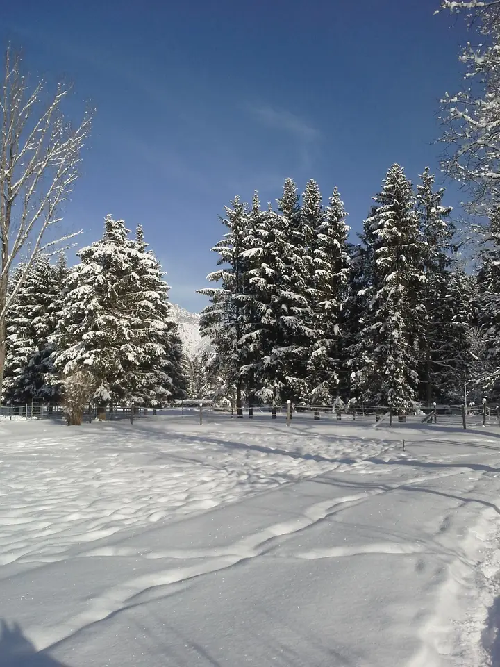 Winterlandschaft