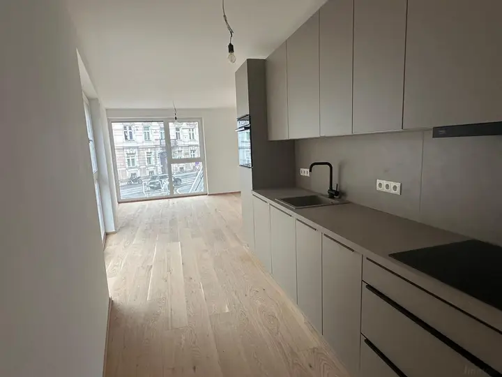 moderne Küchezeile -Wohnzimmer