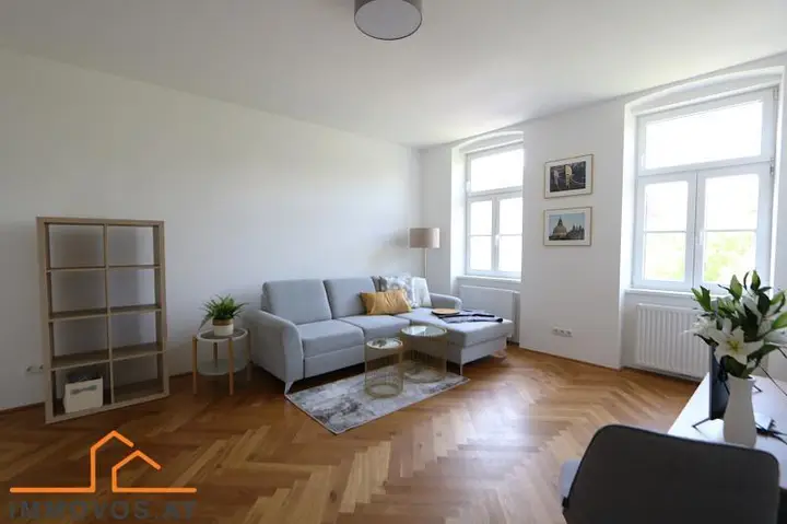 charmanter gro&#223;z&#252;giger Wohnraum