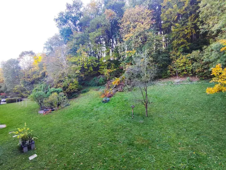 Grünfläche