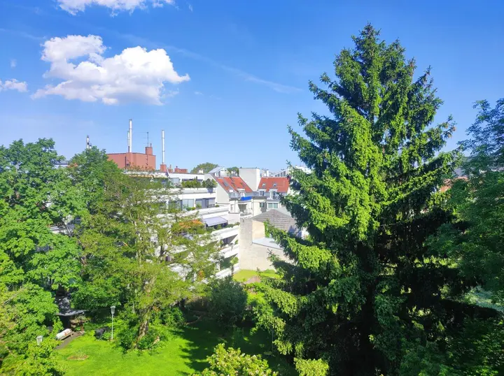 Ausblick