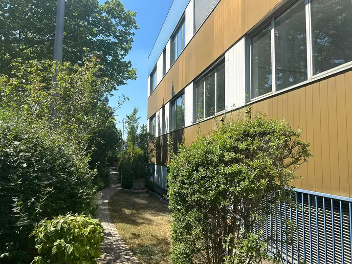 Garten.jpeg