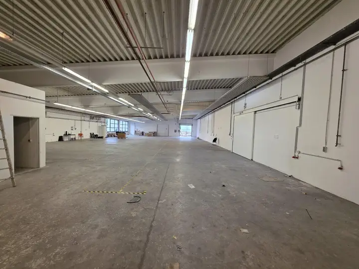 Halle | Längsblick