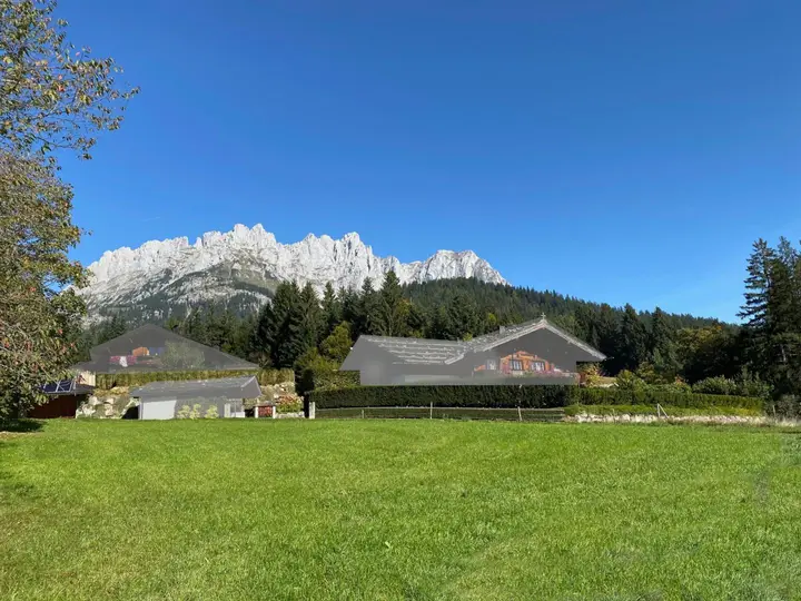 Blick-31
