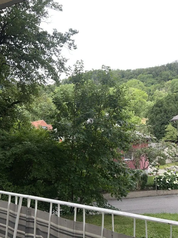 Blick ins Grüne