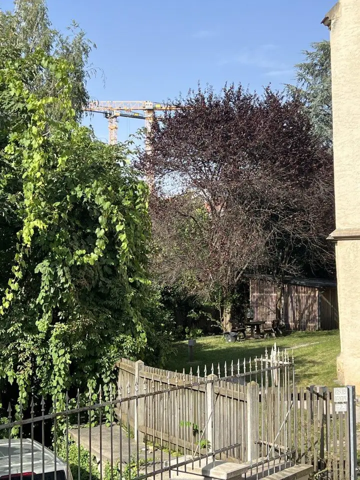 Blick ins Grüne
