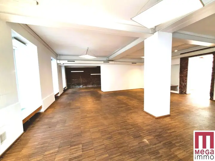Geschäftsfläche (7)