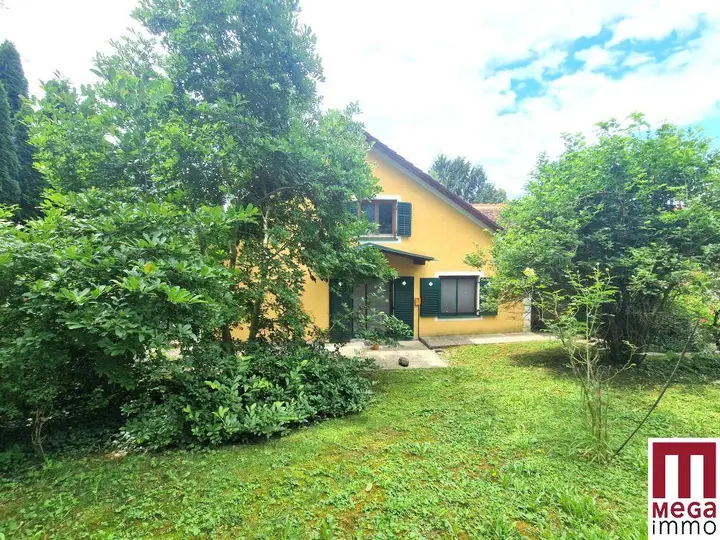 Ansicht Garten (3)