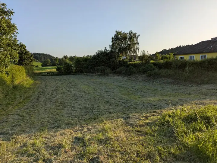 Ansicht