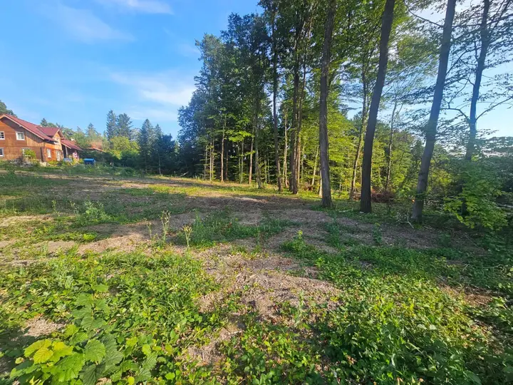 SCHÖNES SÜDSEITIGES GRUNDSTÜCK IN WALDRANDLAGE