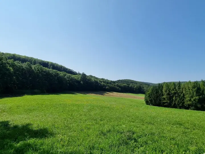 Landwirtschaft Pressbaum, Obj. 3923