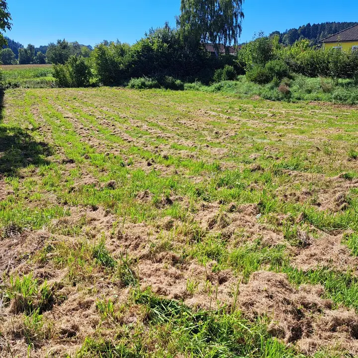 Ansicht