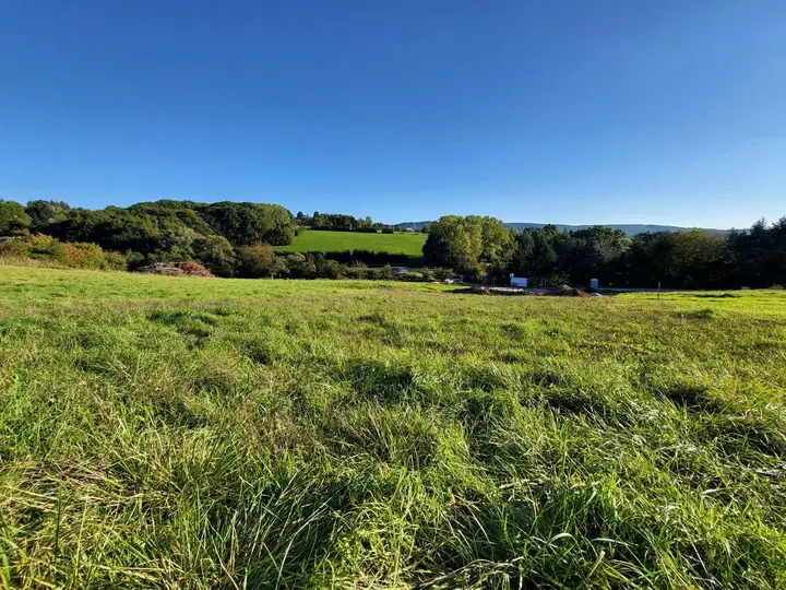 Obj. 3980 - Baugrund Neulengbach