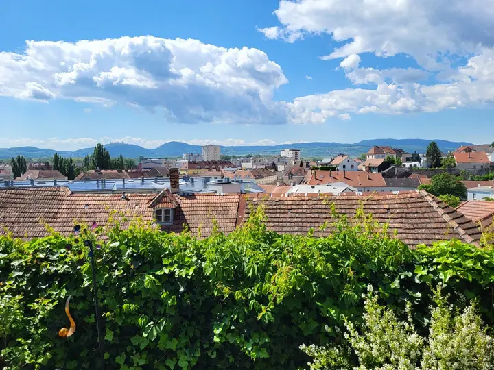 Ausblick