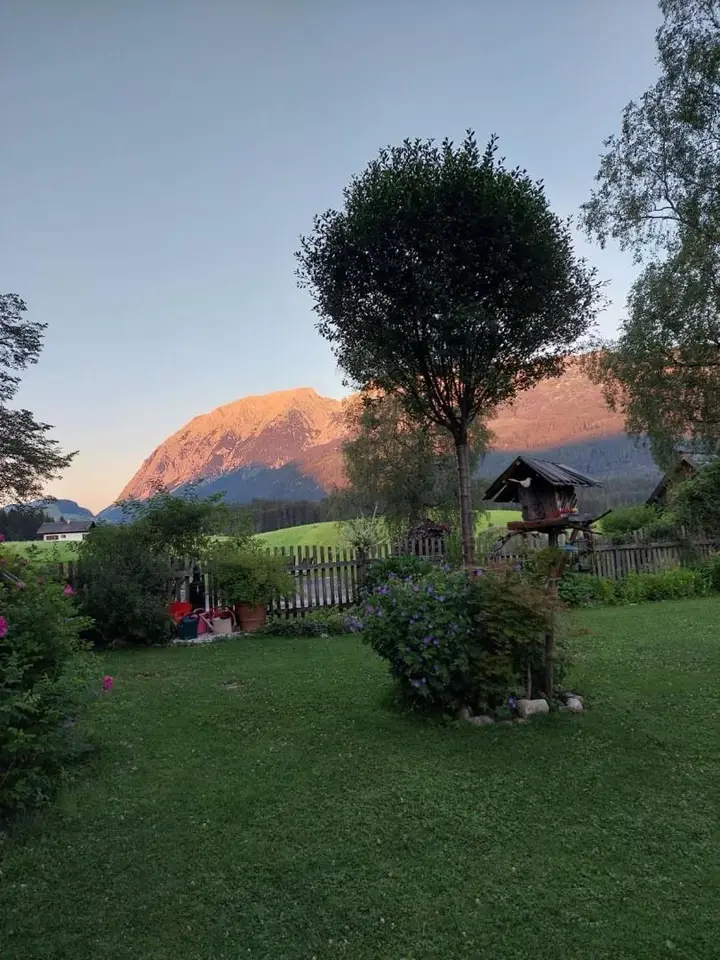 Garten4