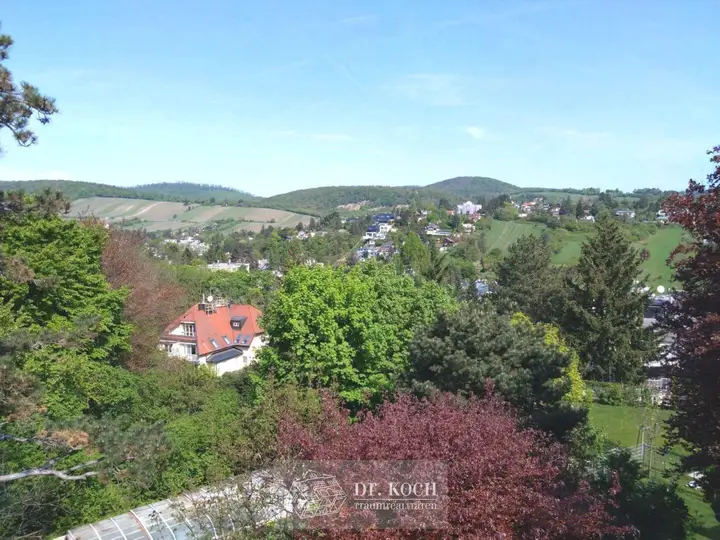 Blick
