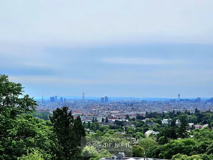 Wienblick