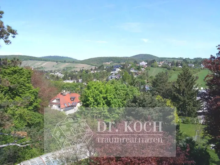 Blick
