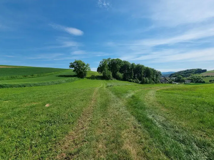 Geroldinger Panoramafeld / Brandacker