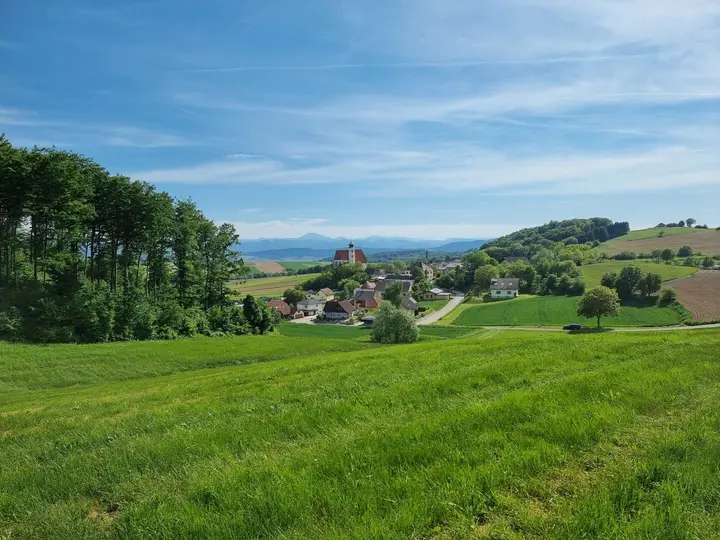 Geroldinger Panoramafeld