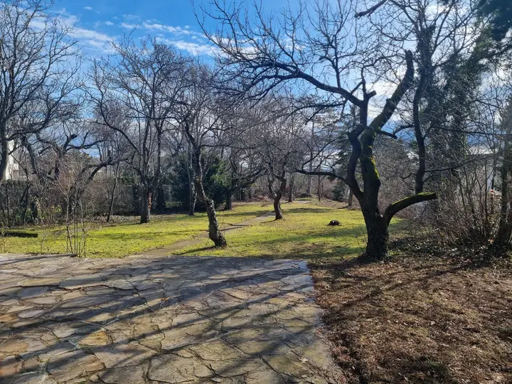 Blick in den Garten