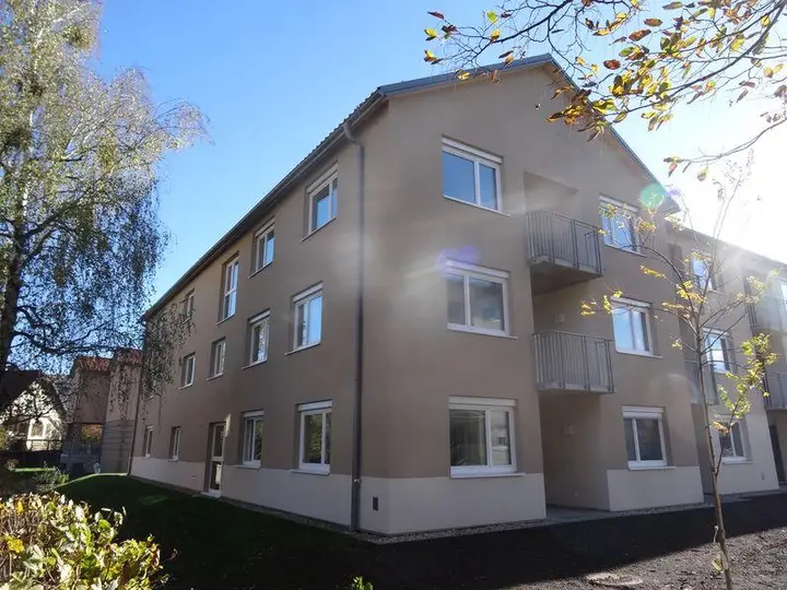 inbiau anru 404701 mave 404701 DSC09853.JPG