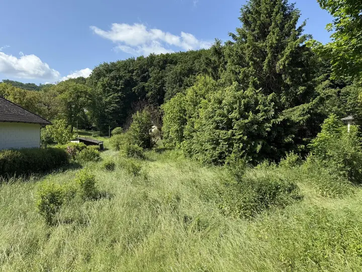 Richtung Wald