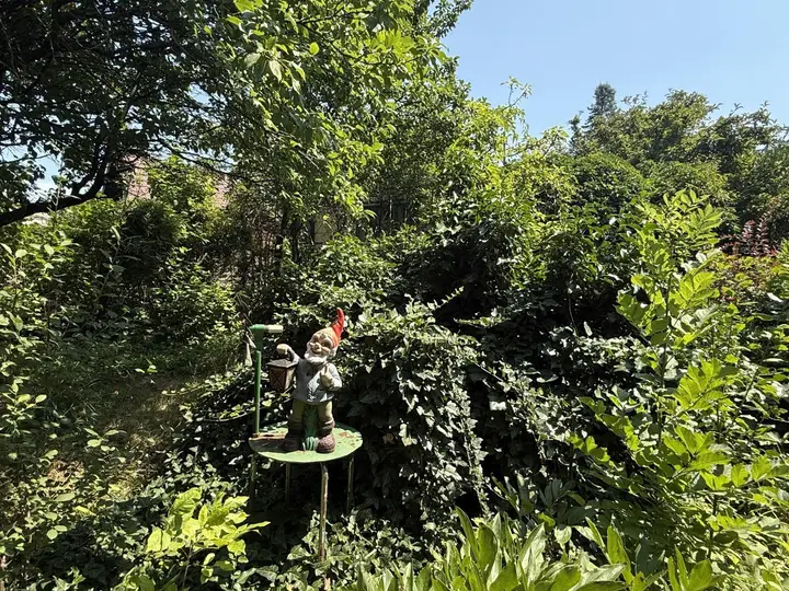 Der Zwerg