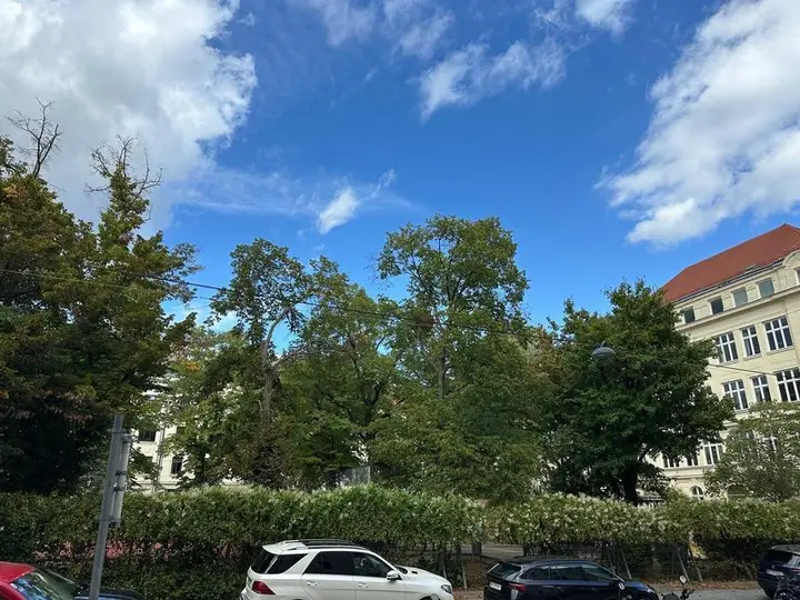 Grünlage