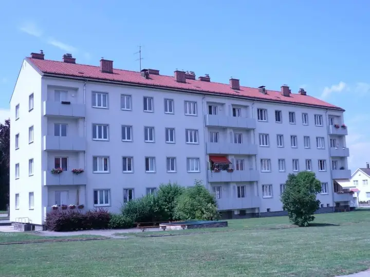 311001_p1080253_soro.jpg
