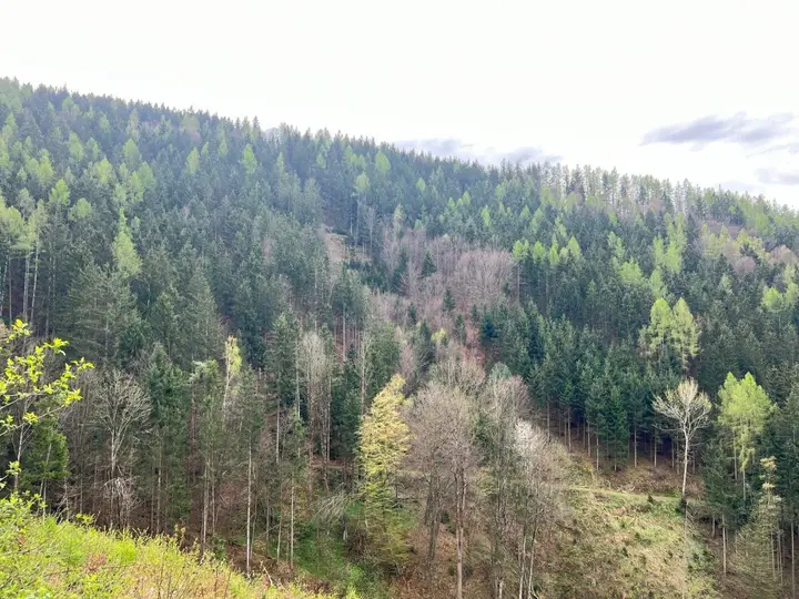 Ansicht