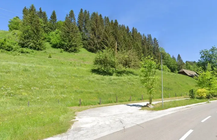 Zufahrt mit Wiesenfläche