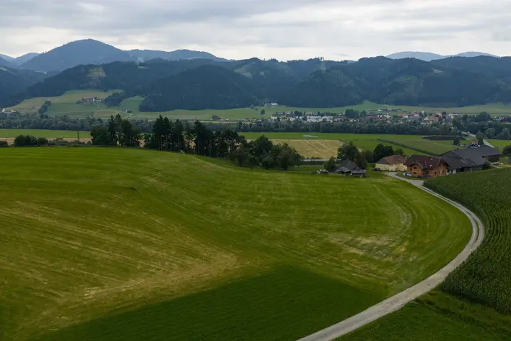 Wiesenfläche