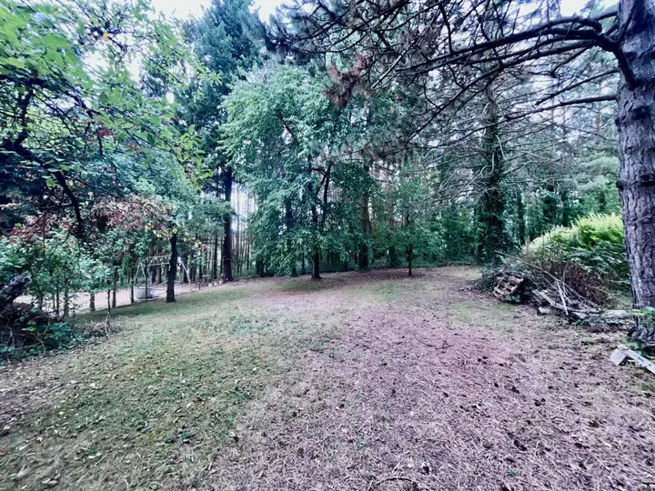Garten rückwärtiger Teil