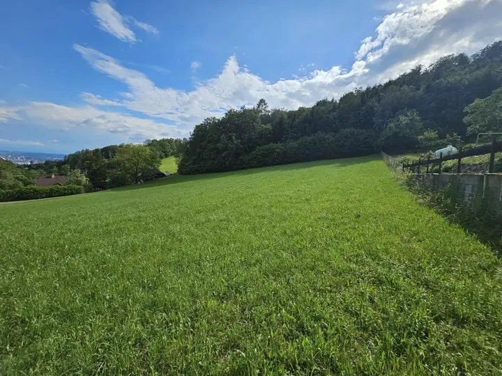 Standort im "grünen Gürtel" von Linz