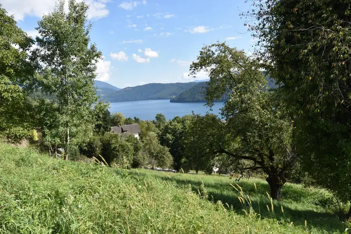 einzigartiger Blick