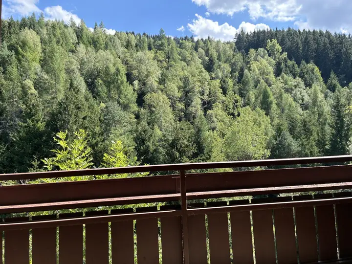 Blick vom Balkon rRchtung Wald