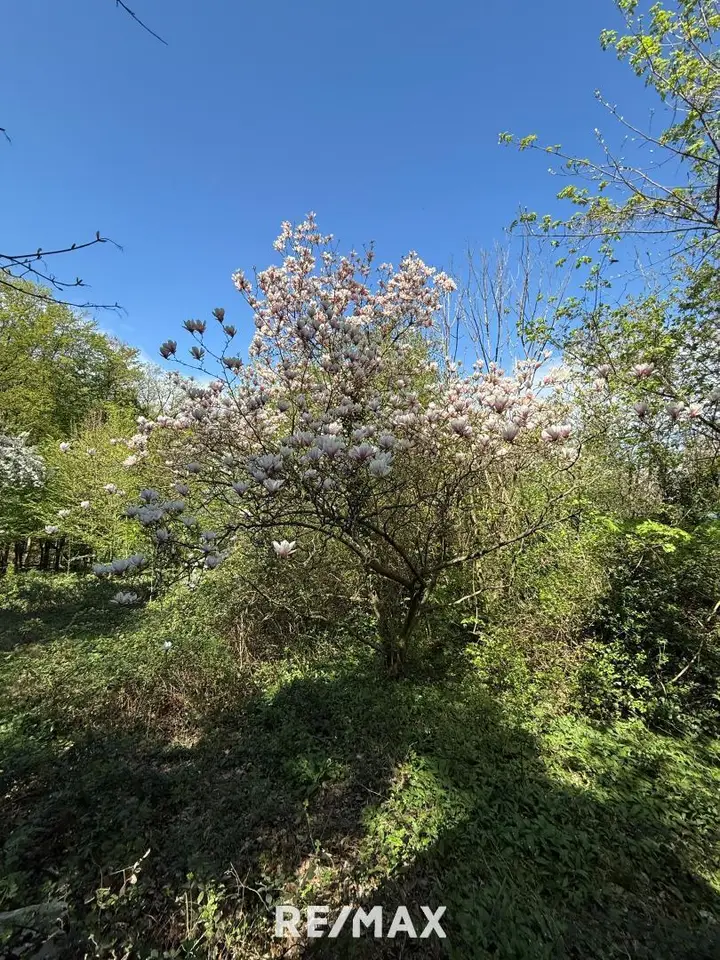 Grundstück Eselstiege