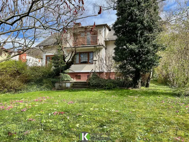 Hausansicht Garten