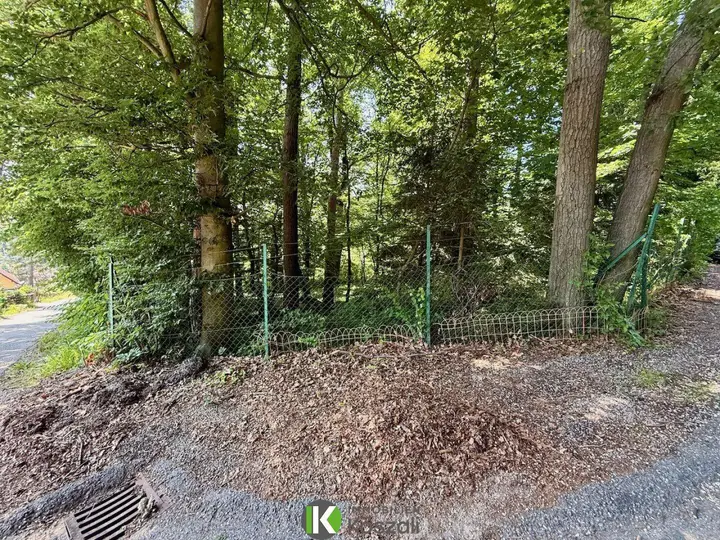 Zaunanlage