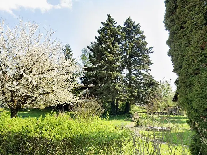 Sonniger Baugrund