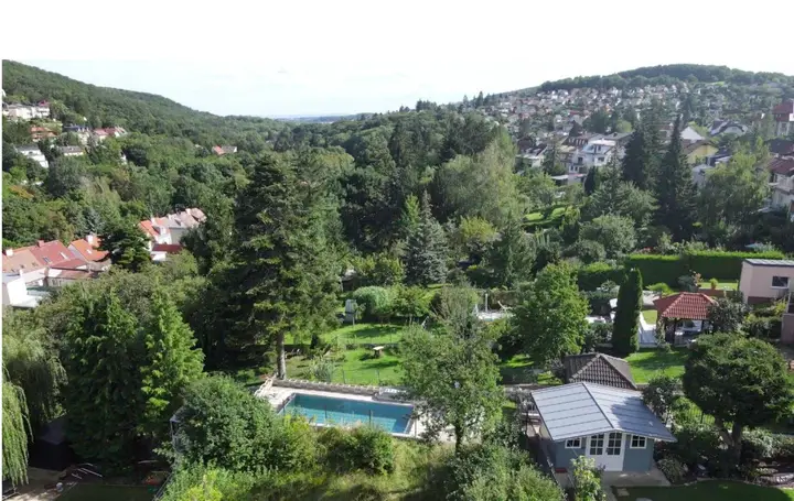 Ausblick vom Erdgeschoß
