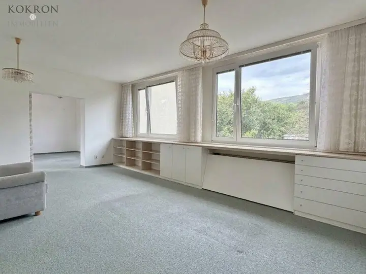 Wohnzimmer mit Grünblick