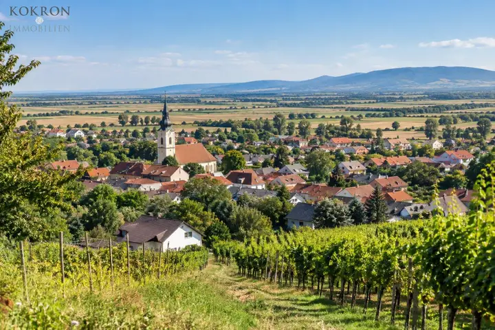Königstetten vom Wienerwald aus