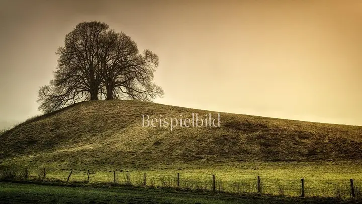 Ansicht