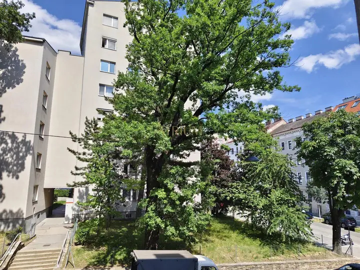 Wohnzimmer Aussicht