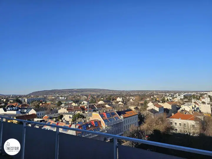Wohnung - NESTOR Immobilien