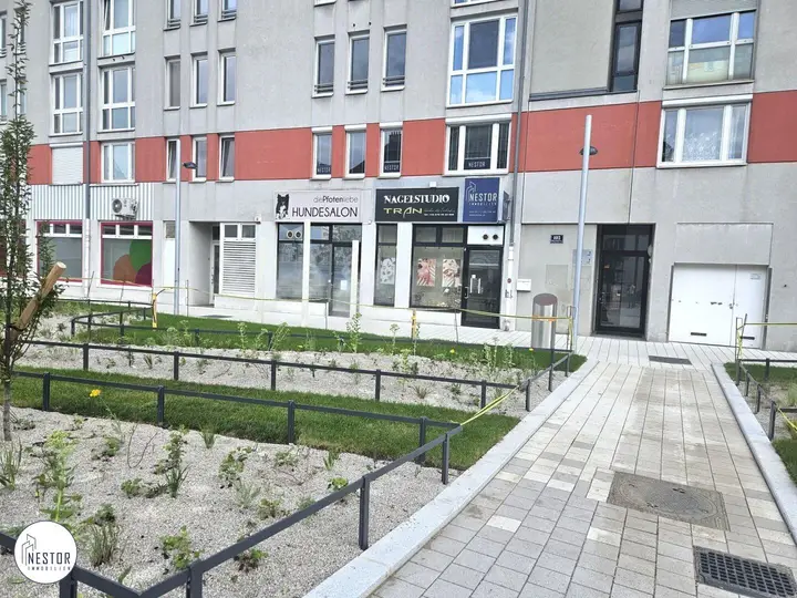 NESTOR Immobilien